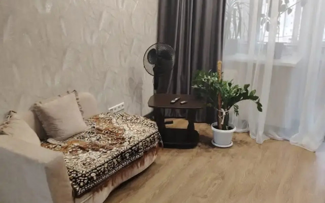 V Tsentre Apartments