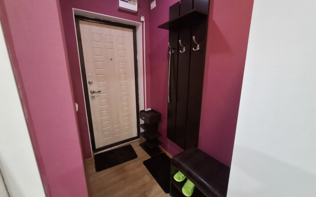 Квартира Уютная квартира на Пузакова