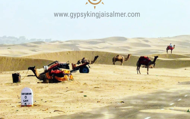 Gypsy King Desert Safari Camps & Resort Apartments