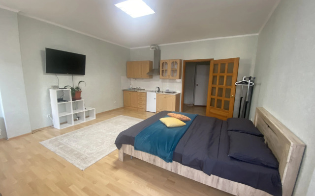 Domashniy Uyut Flat