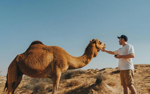 Кемпинг Aroma Desert Safari