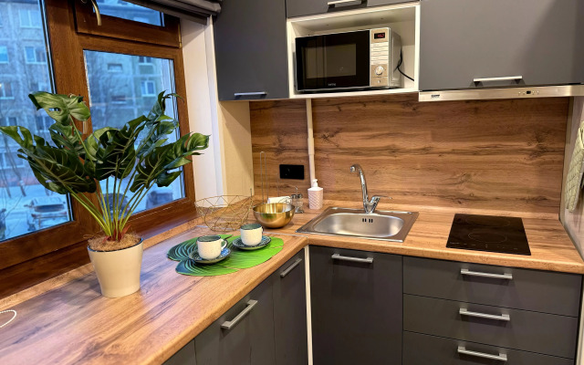 Квартира Люкс с видом на горы