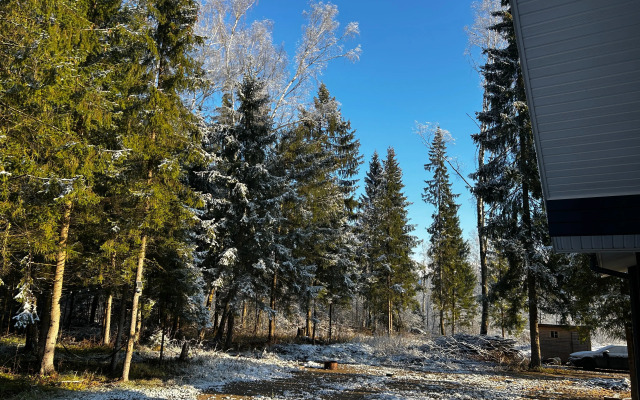 Частный Дом с баней в хвойном лесу на 20 сотках