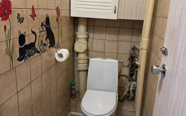 Квартира 2х комнатная семейная