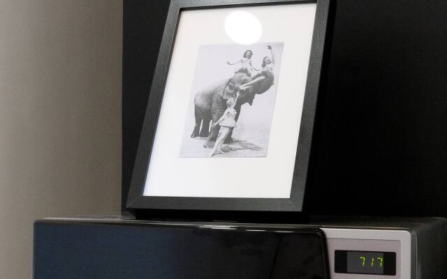 Апартаменты на Белинского у Цирка