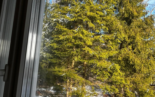 Частный Дом с баней в хвойном лесу на 20 сотках