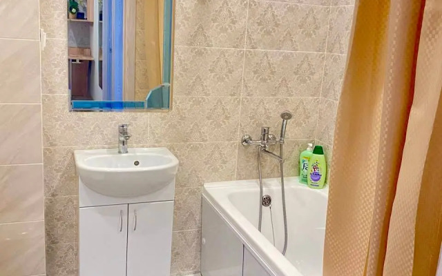 Квартира 2-комнатная студия в центре на Мичурина