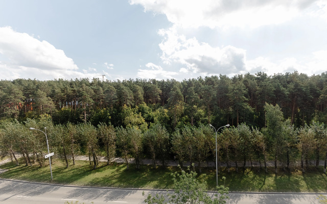 Квартира Солнечная возле парка в центральном районе города