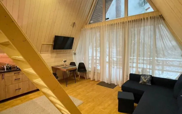 Частный дом Уютный дoм A-frame