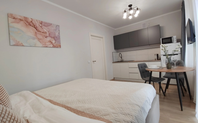 Апартаменты Студия Экспо Бульвар