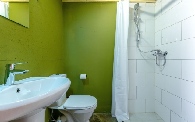 Apartamenty Na Liteynom 52 (1)