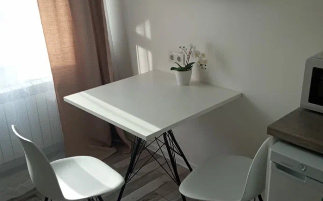 Studio Minimal Na Lisitsyna 57 Apartments