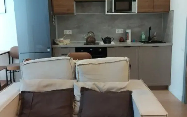 Апартаменты Просторные у метро Аэропорт