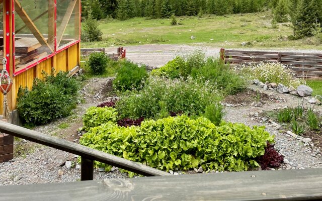 База Отдыха Красные Ворота