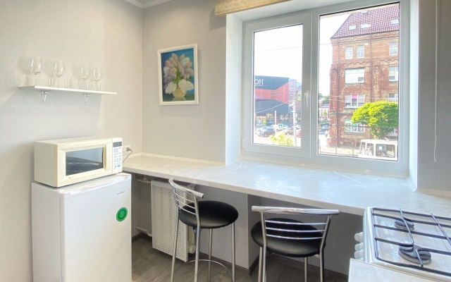 Na Chernyakhovskogo 66 Flat