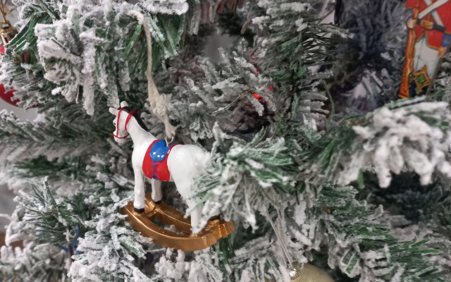 Квартира в центре Петербурга