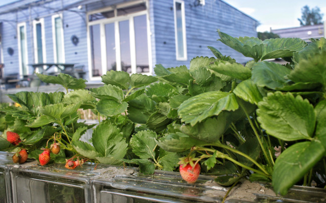 Частный дом Семейное эко-пространство Домик у моря