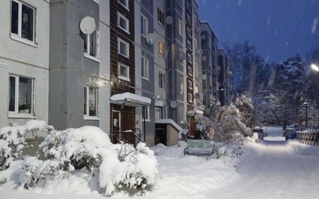 Zagorodnaya V Okruzhenii Lesa I Ozer Flat
