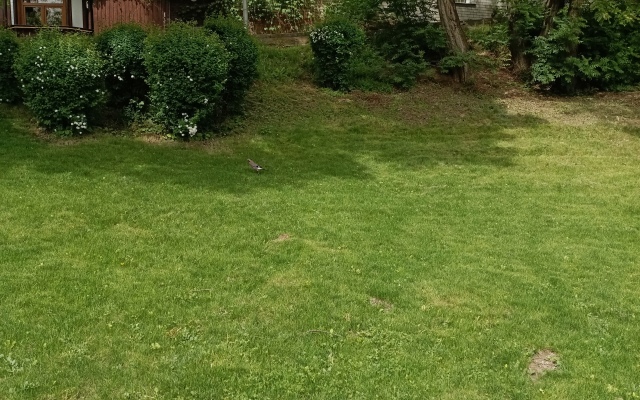 Частный дом у Парка