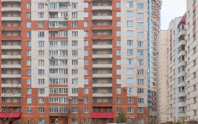 Sovremennaya Studiya Na Pulkovskoj Flat