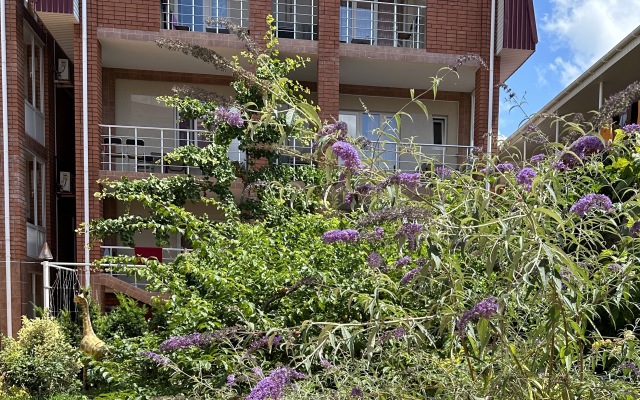 Otdykh U Alexandra Guest House