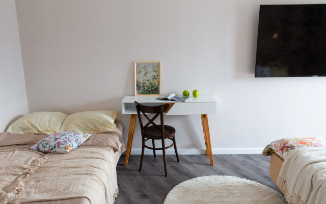 Апартаменты у музея Исторический центр Современный комфорт