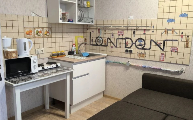 Uyutnaya Studiya V Novom Petergofe Flat