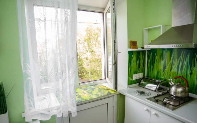 V Samom Tsentre Permi Flat