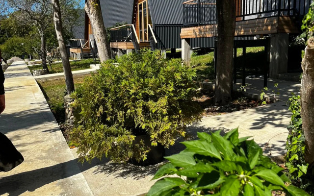 Ayfreymy Pitsunda Guest House