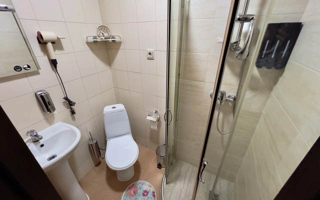 Апартаменты Мансарда