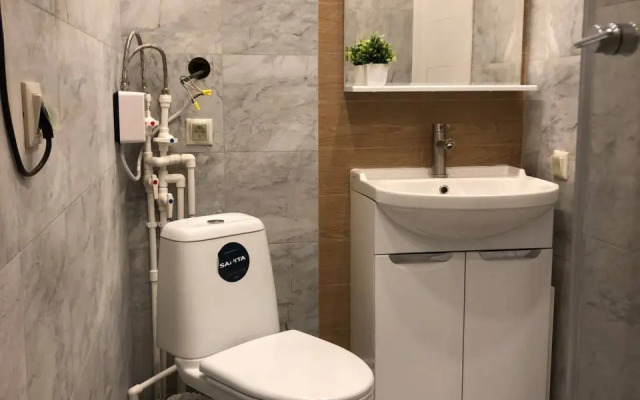 Апартаменты Просторная студия в сердце Петербурга