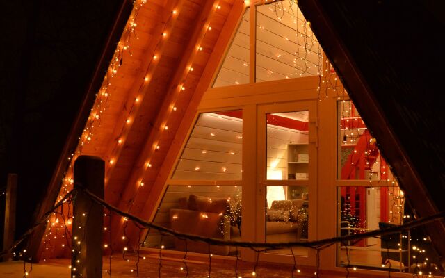 A-Frame Dubhouse Private house