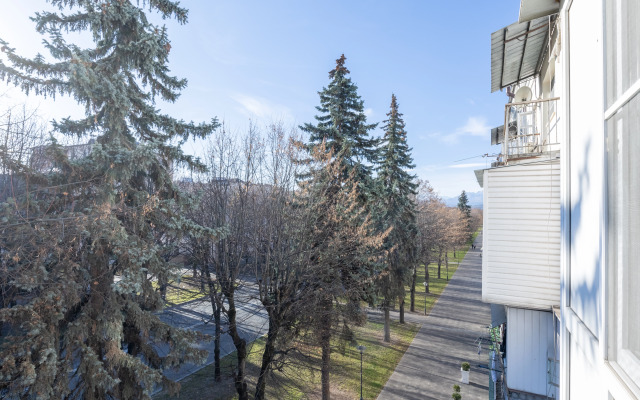 Апартаменты Однушка в центре