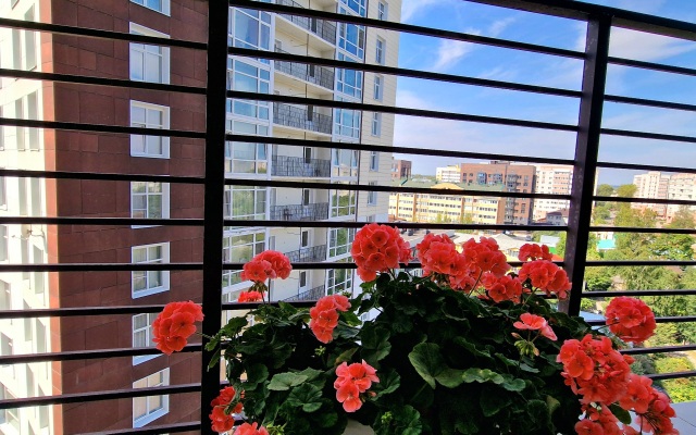 Апартаменты Дом Альберта