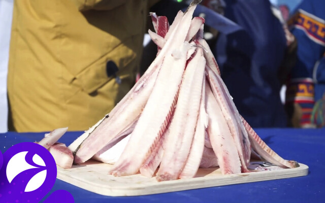 Кемпинг Sava Syo