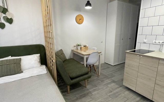 Квартира Зеленая Студия на Соколова