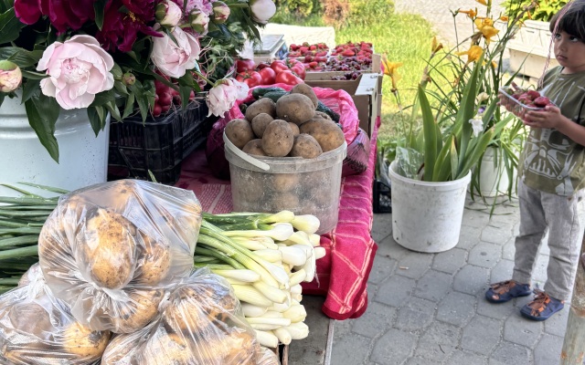 Квартира Уютная в немецком  доме возле моря