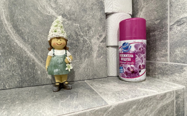 Квартира Двухкомнатная в Историческом Центре