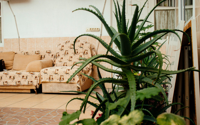 U Viktorii Guest House