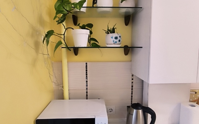 Апартаменты Солнечная квартира на Cуздальской