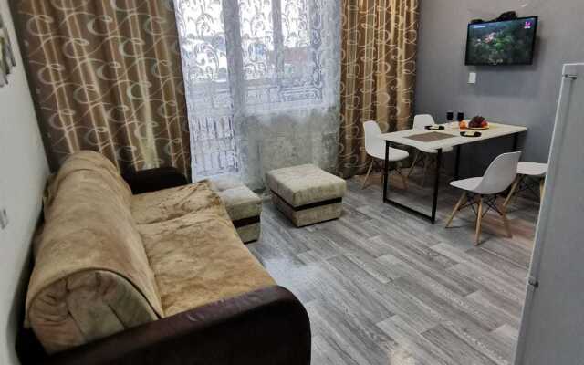 Квартира на улице Самаровской 6 (95)