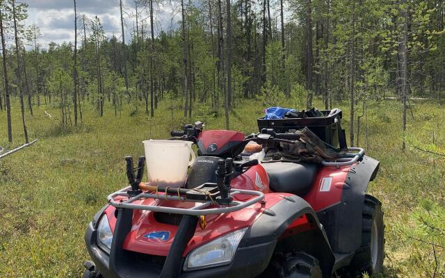 Гостевой дом Лось