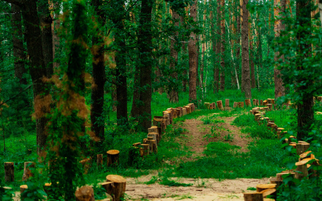 Paporotnik Recreation camp