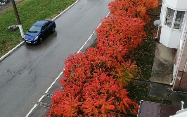 Апартаменты на Надежды 3