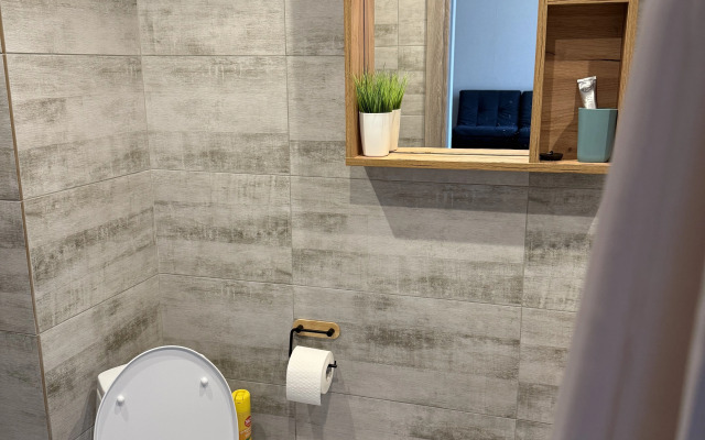 Квартира на Пионерском проспекте 53