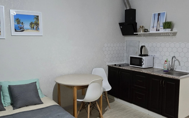 Studiya ryadom s Olimpiyskimi obyektami Flat