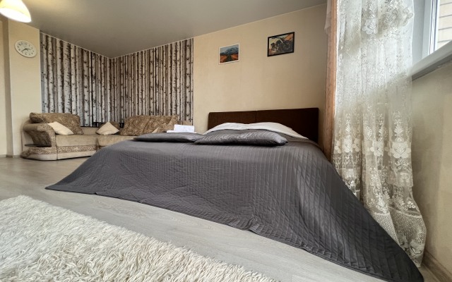 1kv South Port Shopping center Favorite of Demyan Bedny 92 Apartments