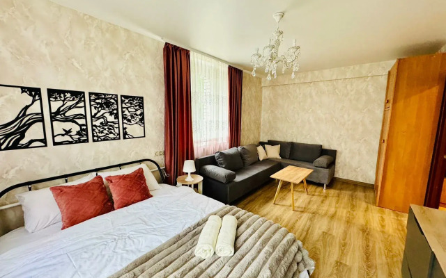 Апартаменты Бочкова 6к1