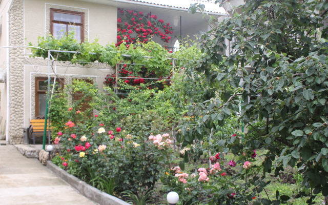 Elena Guest House