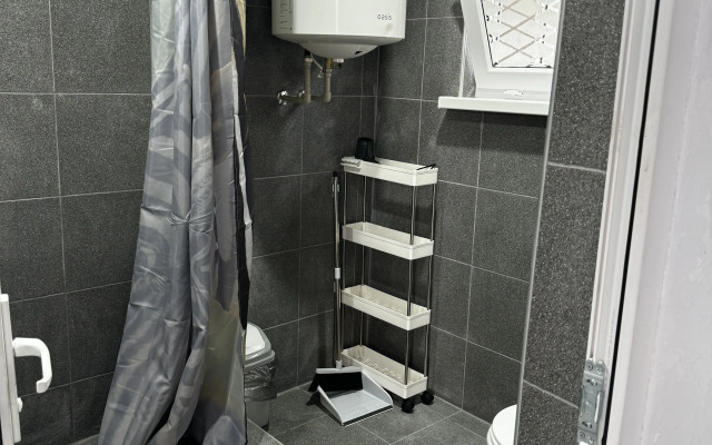 Apartments Gostevoy Dom Daryya